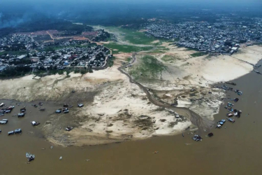 巴西咖啡树进入花期，部分地区遭罕见热浪与强降雨