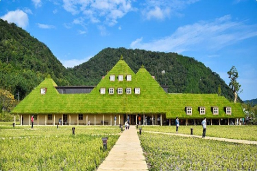 日本滋贺旅游景点新发现！草皮甜品屋超诱人！