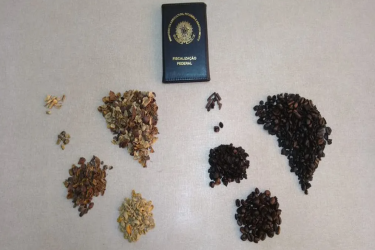 咖啡违规！巴西农业部召回八个批次的问题咖啡